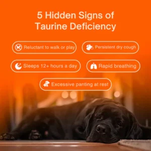 Woofsupps Taurine Pure Supplement