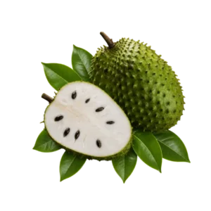ReliefsWeb Soursop Fruit + Leaf Extract